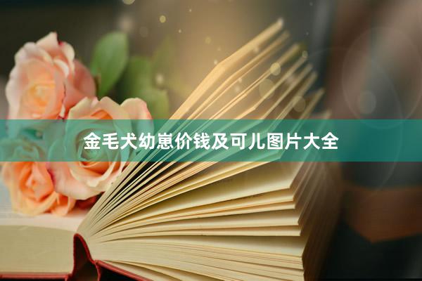 金毛犬幼崽价钱及可儿图片大全